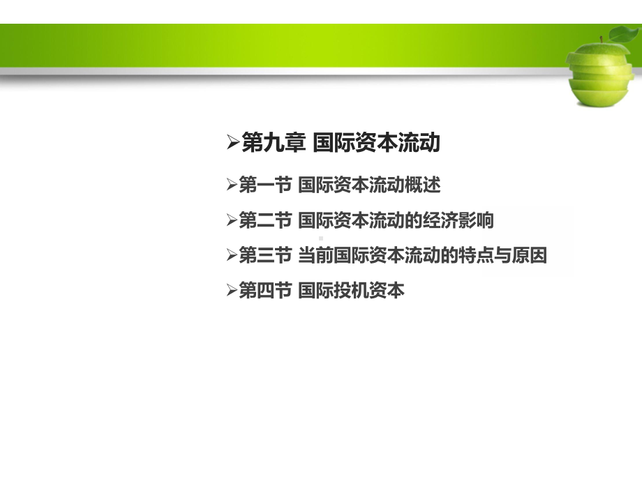 国际金融学-国际资本流动课件.ppt_第2页