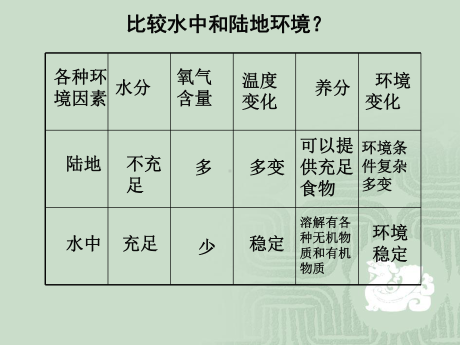 地球上的生物课件.ppt_第3页