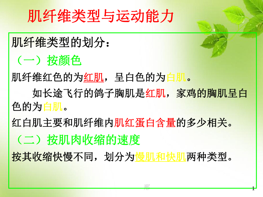 肌纤维类型与运动能力PPT医学课件.ppt_第1页