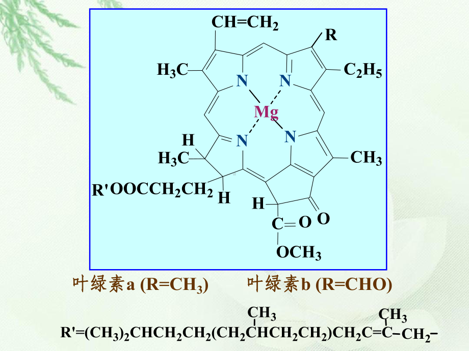 芳香杂环化合物.ppt课件.ppt_第3页