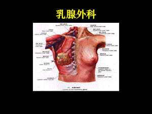 乳腺外科护理-PPT课件.ppt