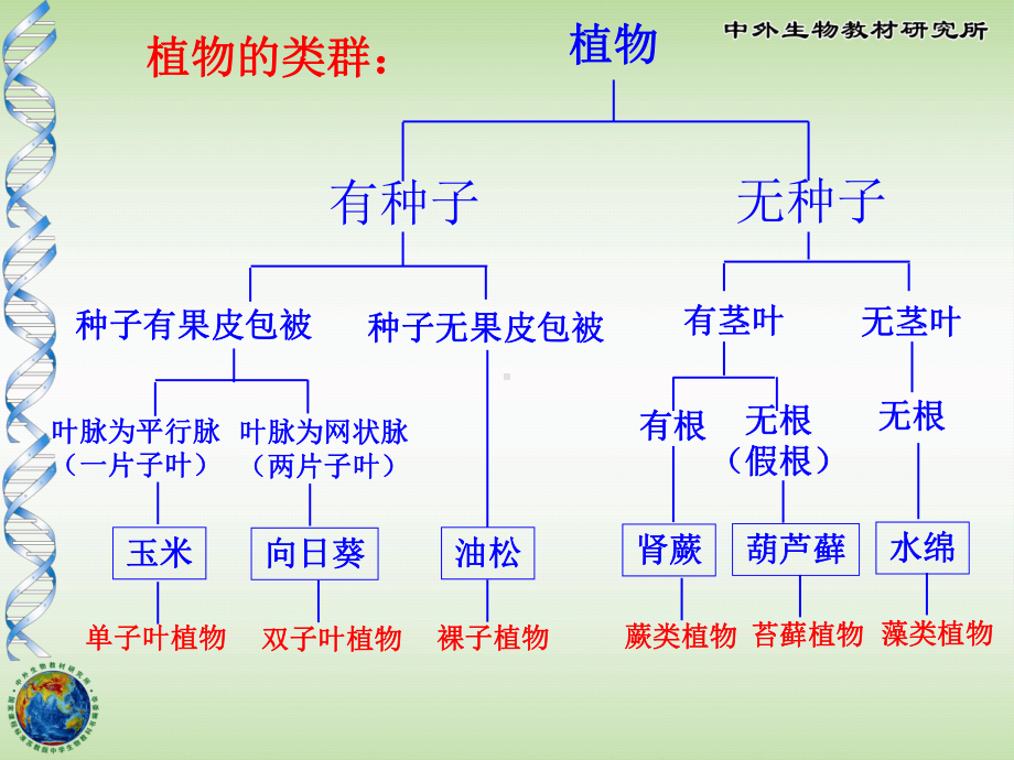 五彩缤纷的植物世界ppt1-苏教版课件.ppt_第2页