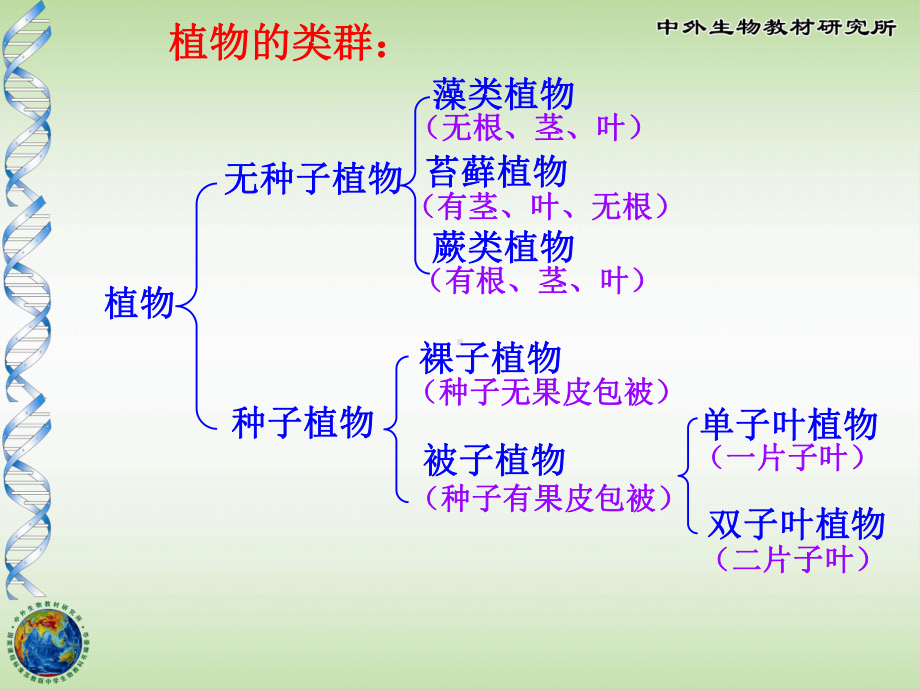 五彩缤纷的植物世界ppt1-苏教版课件.ppt_第3页