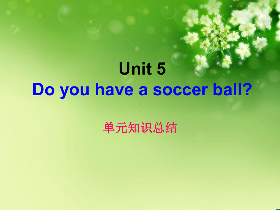 unit5do-you-have-a-soccer-ball-的重难点及语法汇编课件.ppt_第1页