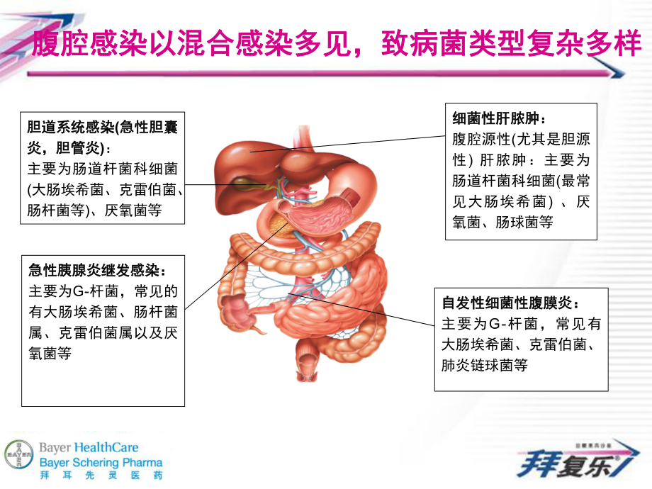 单药治疗腹腔感染的第四代喹诺酮.ppt课件.ppt_第2页