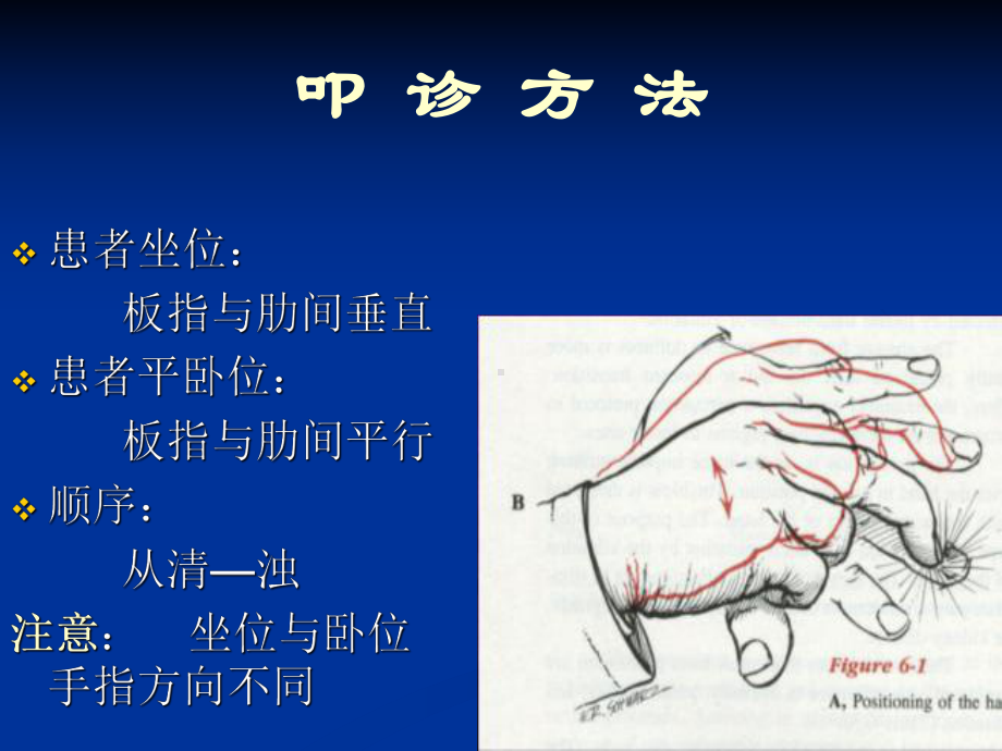 心脏叩诊-课件.ppt_第3页