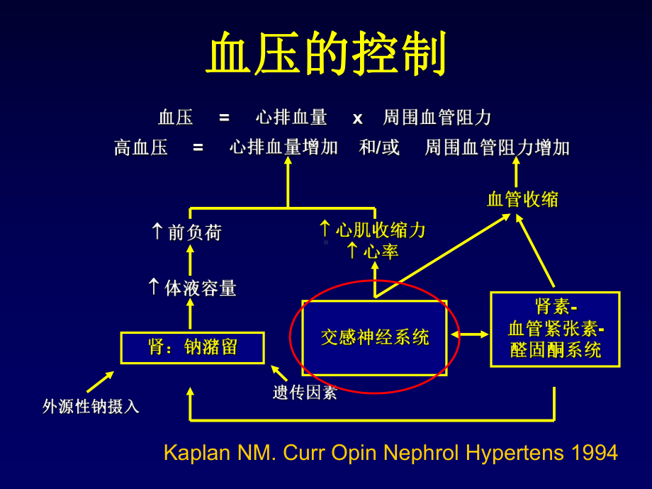 β受体阻滞剂在高血压治疗中的意义-PPT课件.ppt_第2页