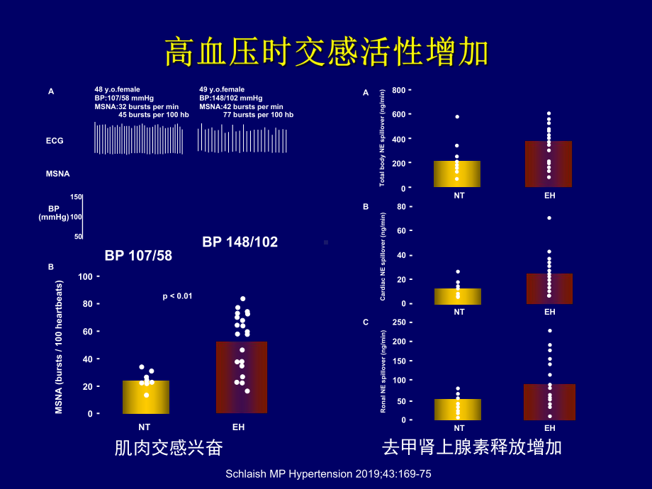 β受体阻滞剂在高血压治疗中的意义-PPT课件.ppt_第3页