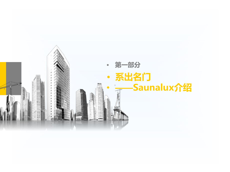 Saunalux介绍-系出名门-秀外慧中课件.ppt_第2页