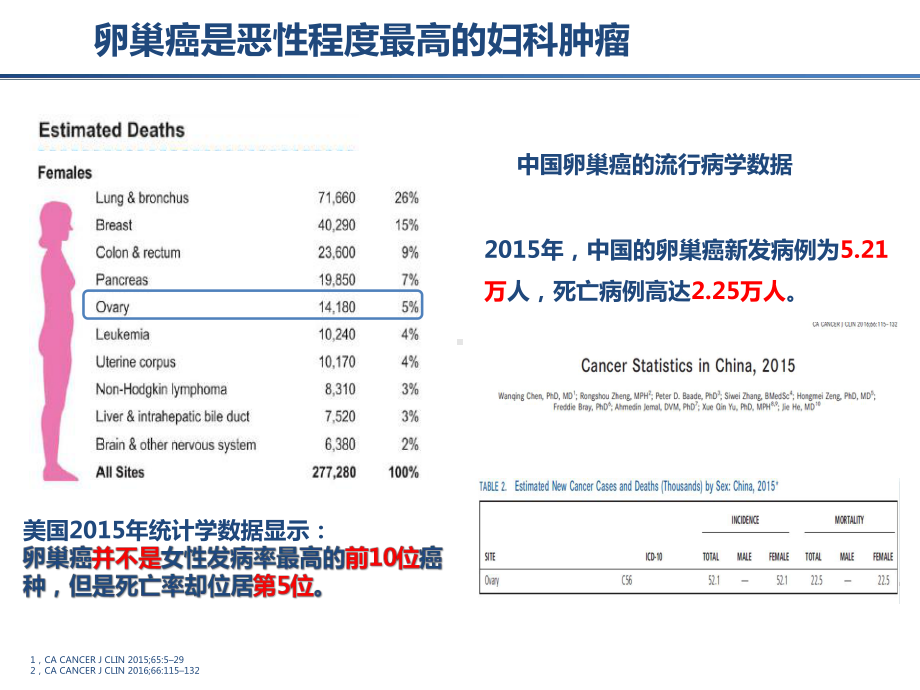 抗血管生成药物在晚期妇科肿瘤中应用课件.pptx_第3页