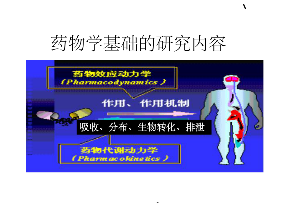 药物学基础-第一章-总论ppt课件.ppt_第3页