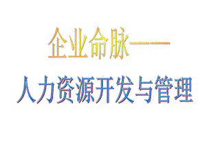 企业命脉—人力资源管理开发与管理(ppt-137页)(1)课件.ppt