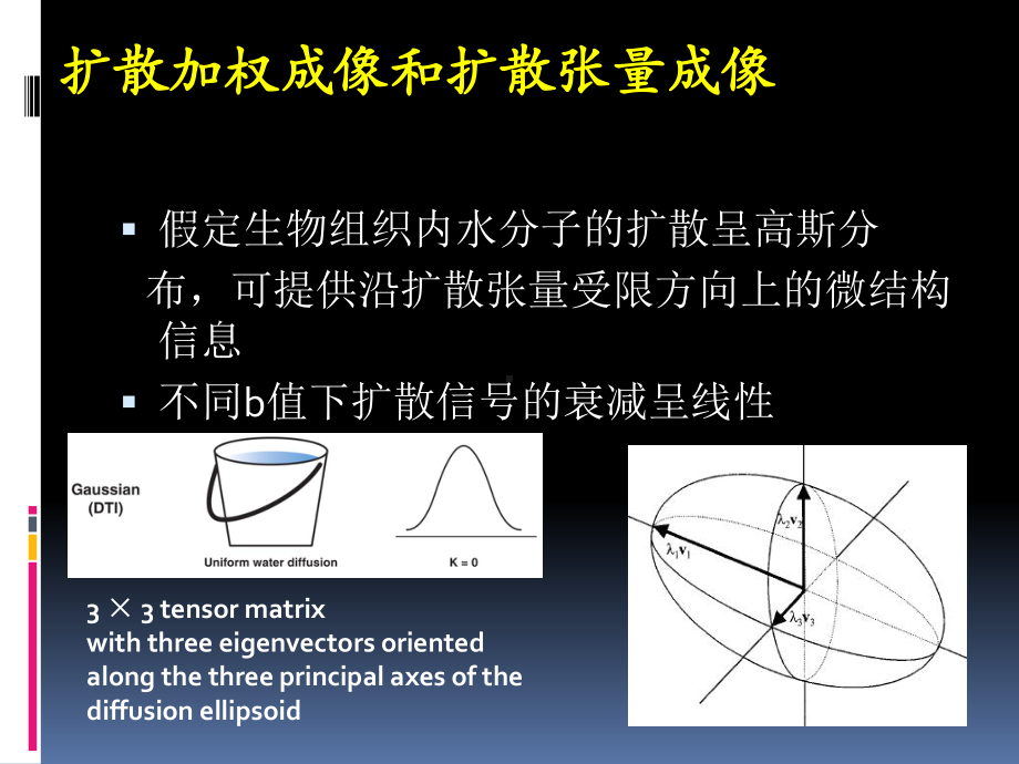 中枢神经系统疾病MR扩散峰值成像课件.pptx_第3页