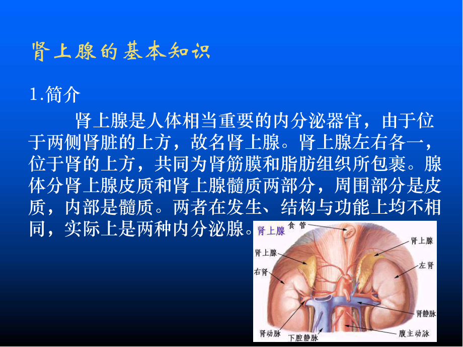 肾上腺疾病的护理ppt医学课件.ppt_第2页