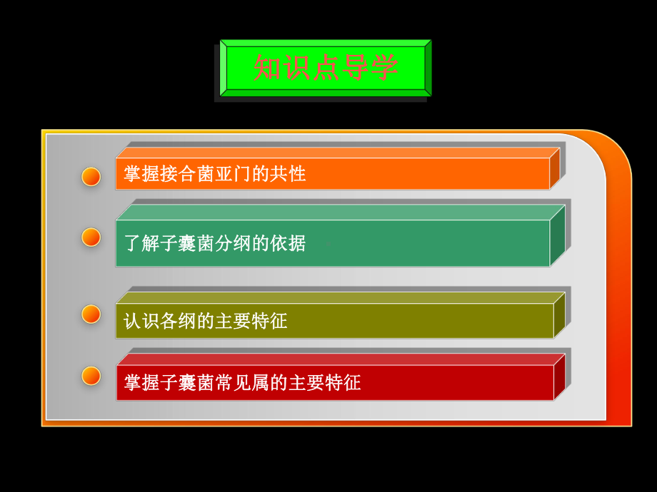 子囊孢子圆形课件.ppt_第2页