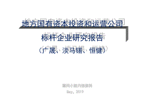 地方国有资本投资和运营公司标杆研究报告-47页PPT资料课件.ppt