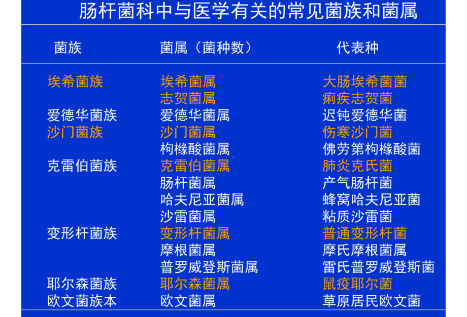 微生物学肠杆菌科14Escherichia-PPT课件.ppt_第3页