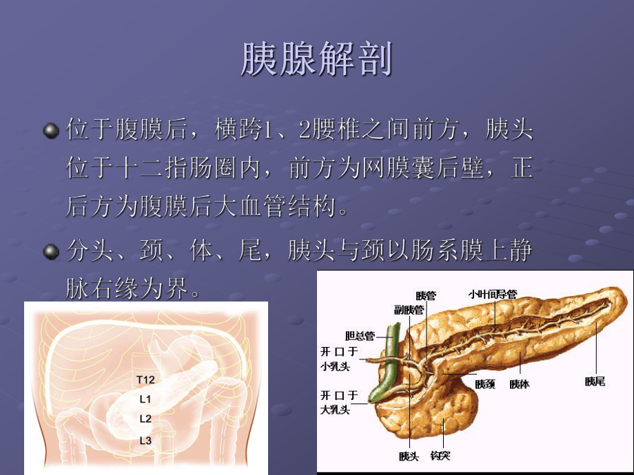 胰腺炎的影像诊断课件.pptx_第3页