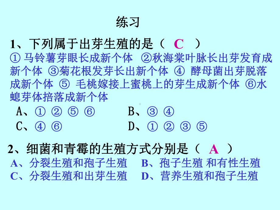 卵→若虫幼虫课件.ppt_第2页