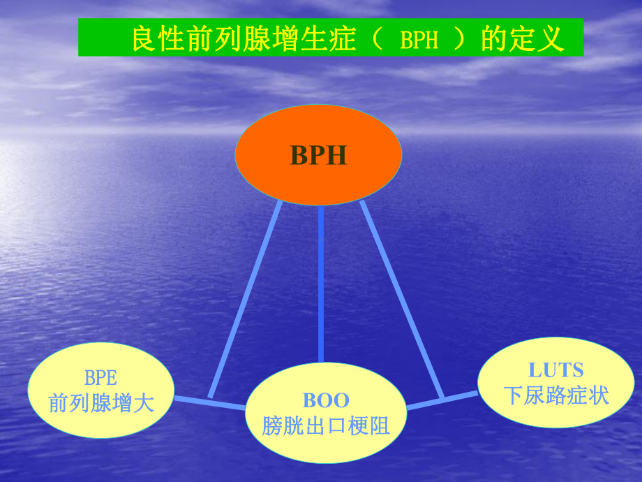 与老年疾病关系-课件.ppt_第2页