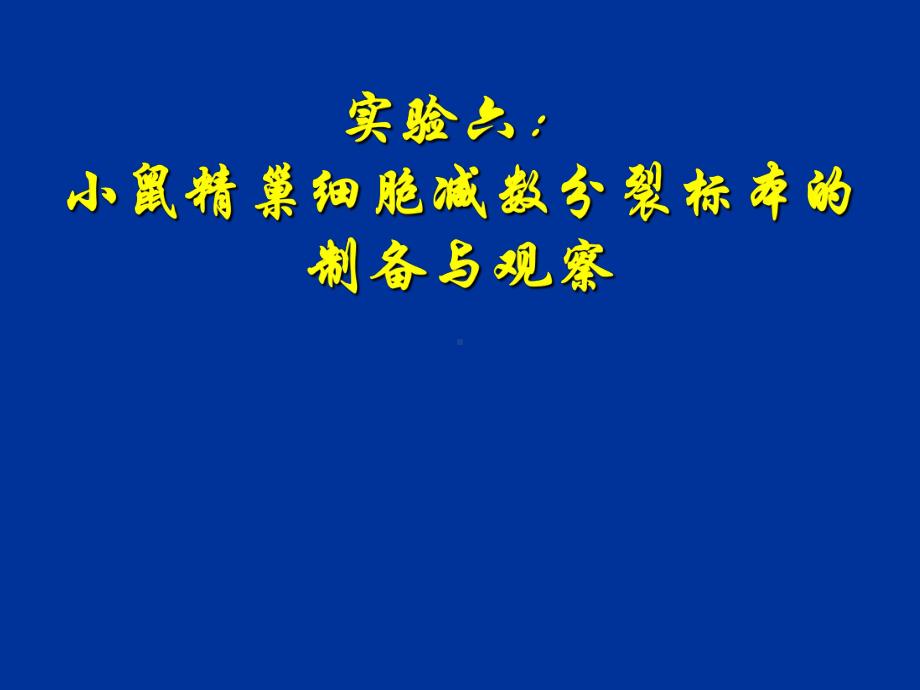 实验六、小鼠精巢细胞减数分裂标本的制备22页课件.ppt_第1页