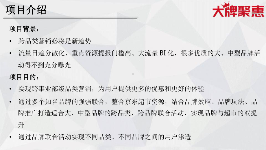 大牌聚惠项目介绍课件.pptx_第2页