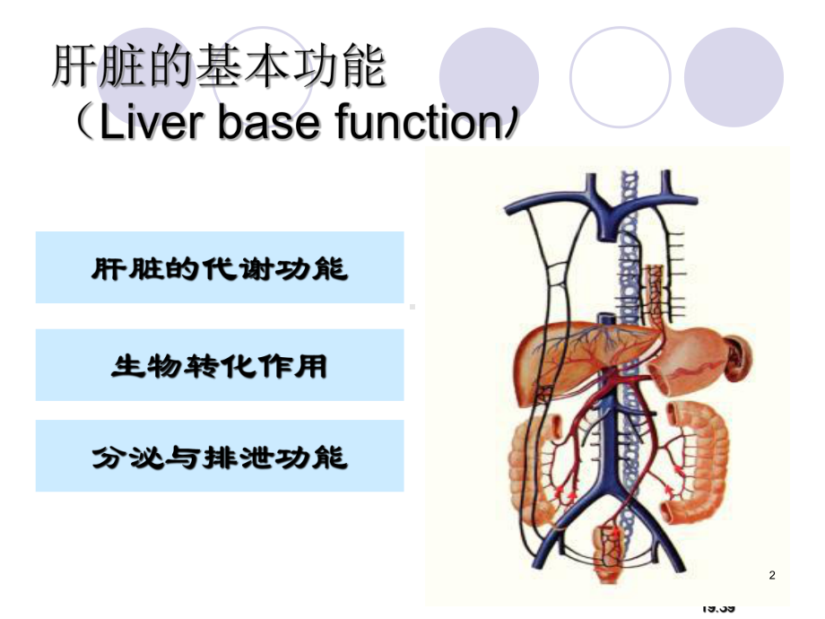 肝脏功能检查幻灯片课件.ppt_第2页