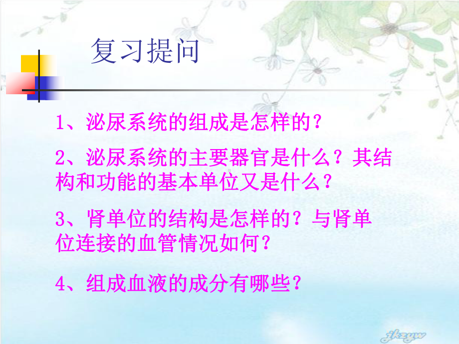 尿液的形成与排出4月11-PPT课件.ppt_第2页