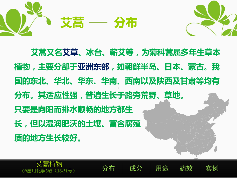 艾草的简单介绍课件.ppt_第3页