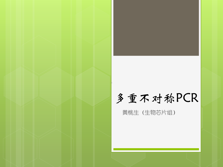 多重不对称扩增介绍-PPT课件.ppt_第1页