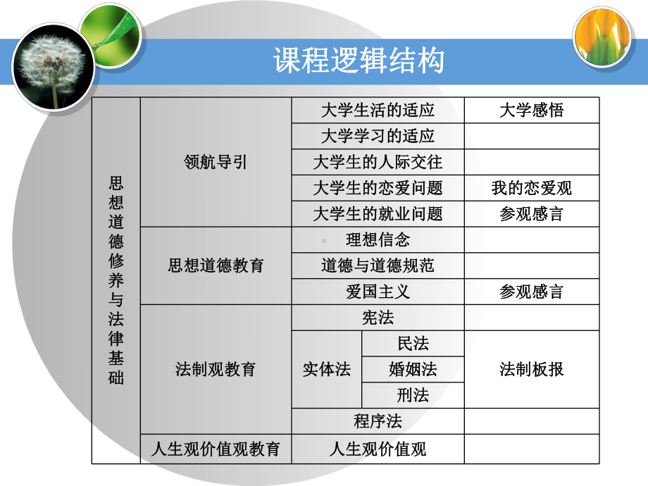 大学生活的适应课件.ppt_第2页