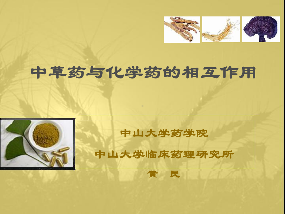 中草药与化学药的相互作用 课件.ppt_第1页