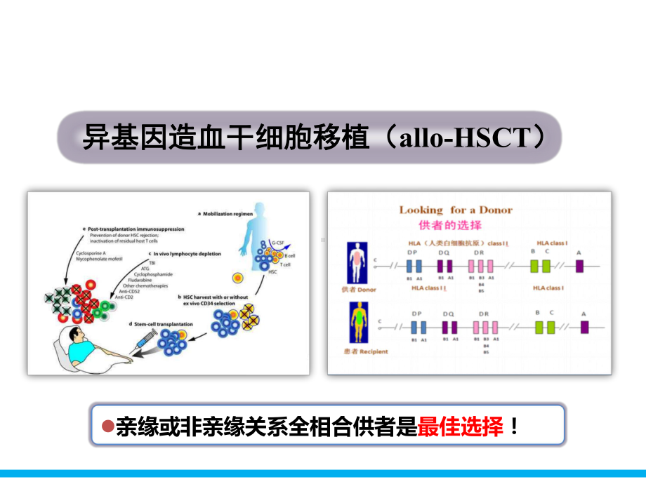 HLA不全相合造血干细胞联合脐血移植治疗急性白血病的临床观察课件.ppt_第3页