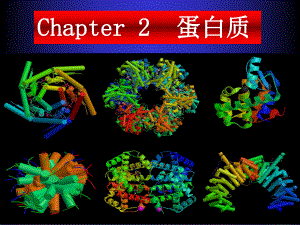 Chapter-2-蛋白质-3-蛋白质分离技术课件.ppt