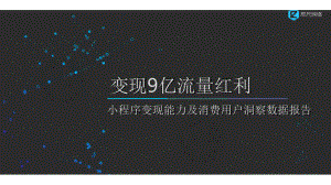 小程序变现能力及消费用户洞察数据报告课件.pptx