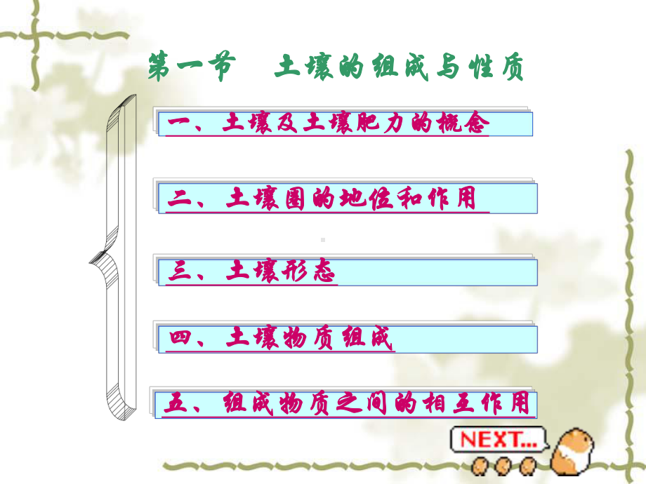 自然地理学-第六章-土壤圈课件.ppt_第2页