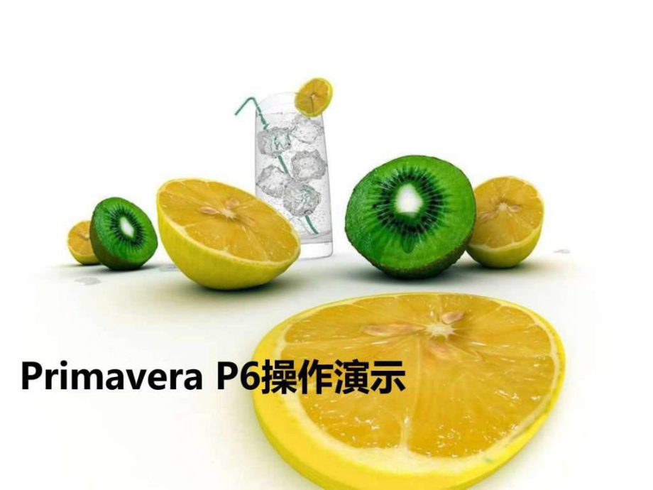 Primavera-P6操作演示-PPT课件.ppt_第1页