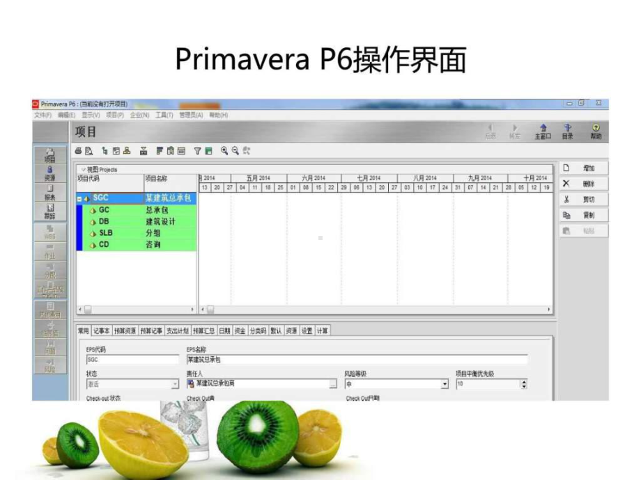 Primavera-P6操作演示-PPT课件.ppt_第3页