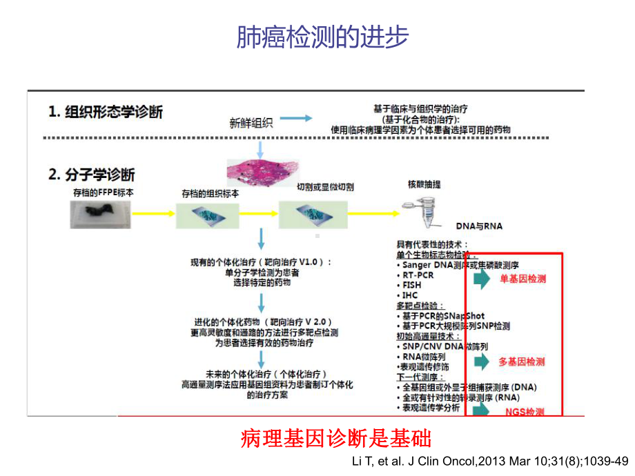 肺癌突变检测进展课件.pptx_第3页