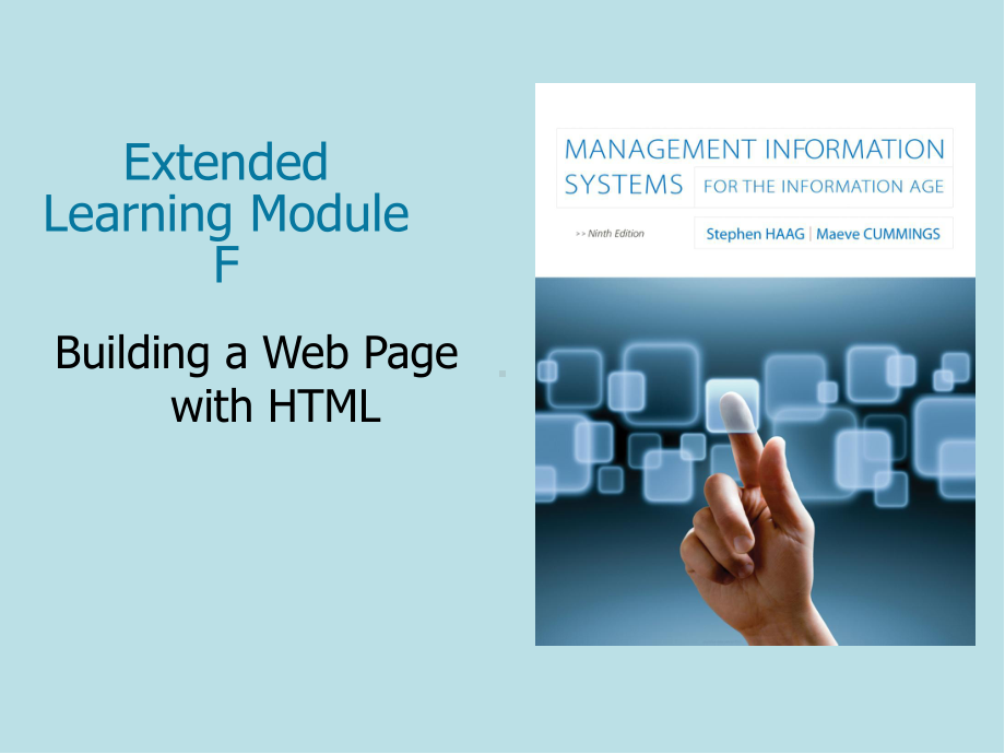 信息时代的管理信息系统Module-F课件.ppt_第1页