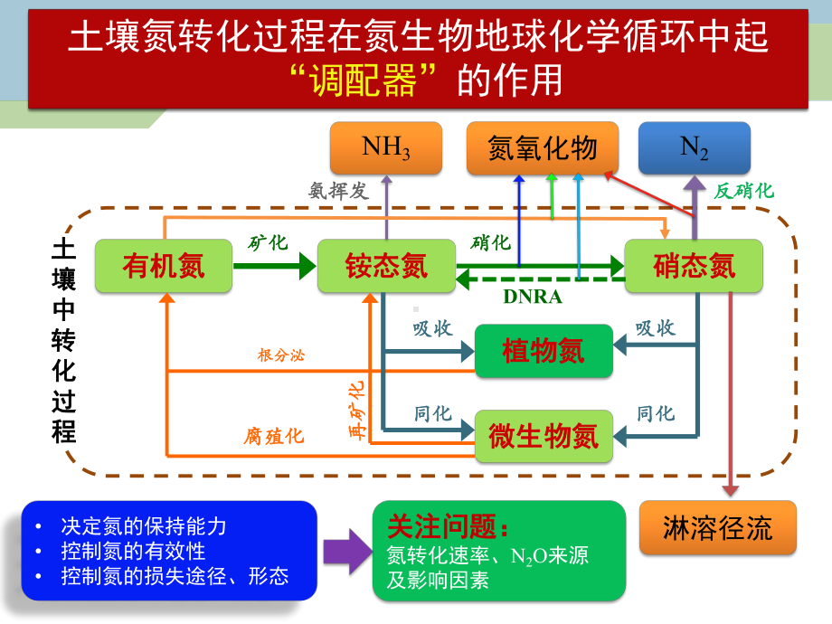 15N稳定同位素成对标记方法在土壤氮转化研究中的应用课件.pptx_第3页