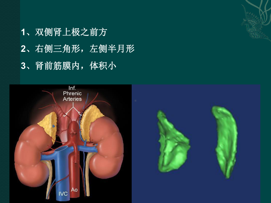 肾上腺常见肿瘤课件.ppt_第3页