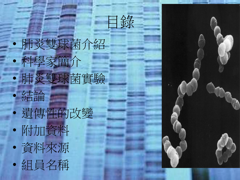 典型的肺炎双球菌肺炎课件.ppt_第2页