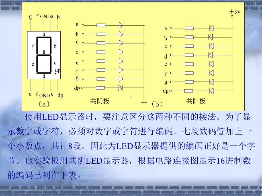 51单片机-LESSON3-数码管静态显示及定时器和中断应用-43页PPT课件.ppt_第3页