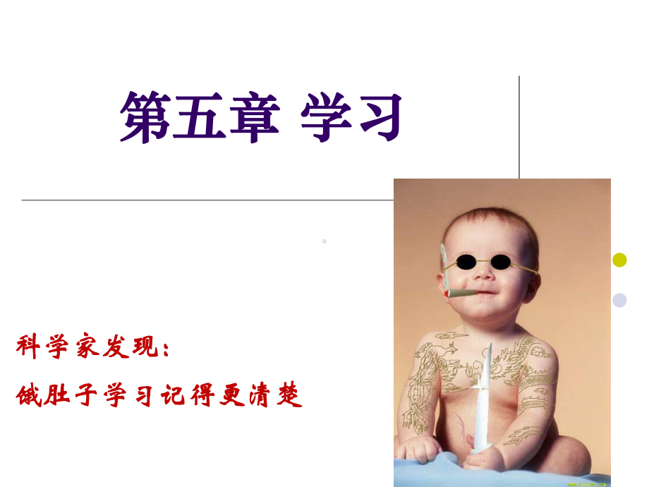 惩罚出现负强化物课件.ppt_第1页