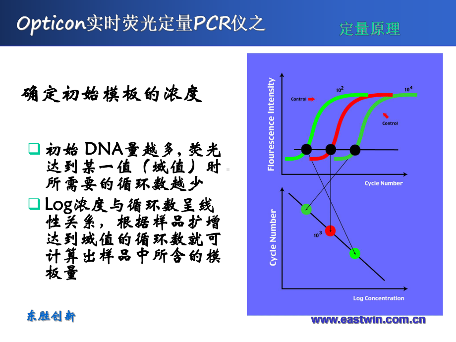 定量与常规PCR的差别页PPT课件.ppt_第3页