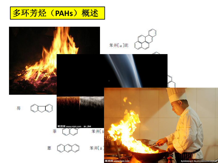 初探多环芳烃(PAHs)的潜在污染源课件.pptx_第3页