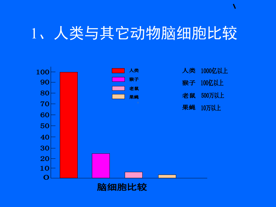 了解认识大脑研究适于脑的教学 课件.ppt_第3页