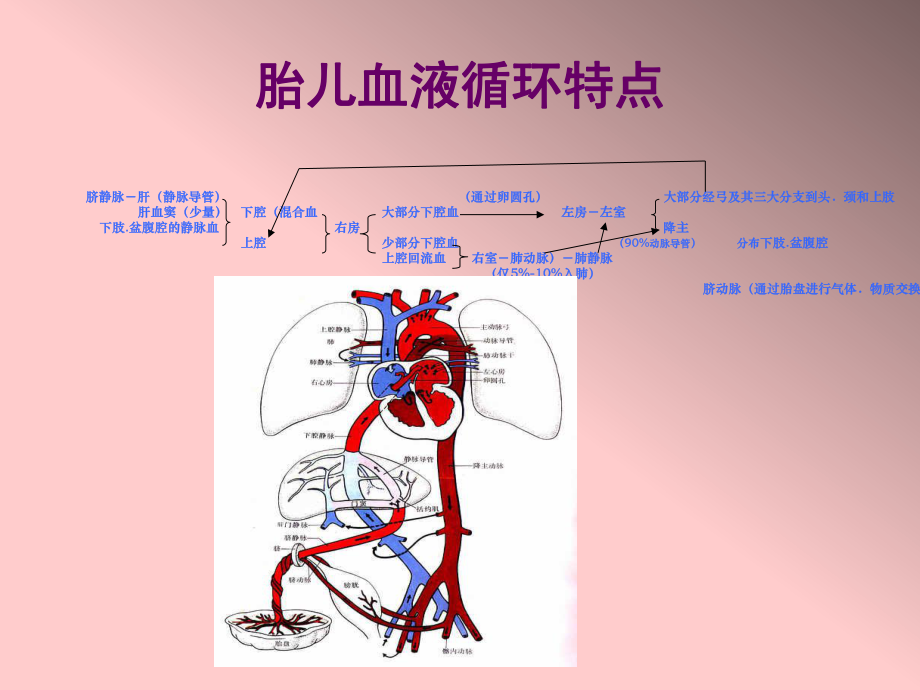 胎儿超声心动图.ppt-PPT课件.ppt_第2页