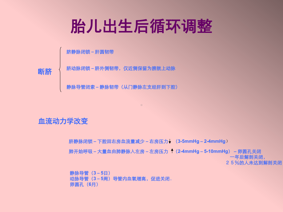 胎儿超声心动图.ppt-PPT课件.ppt_第3页